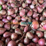 Harga bawang merah di Gorontalo hari ini naik drastis. Foto: Sulthon/Bangsaonline.