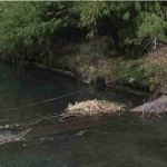 PUPR saat mengukur panjang jembatan dan mengecek langsung kondisi jembatan pasca ambruk.