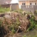 Bekas pohon di sempadan sungai Puri Brawijaya yang diduga ditebangi oleh Ketua RT setempat.