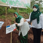 Lia Istifhama bersama Nikmah Jamilah saat kegiatan tanam pohon bersama PT. CJI.