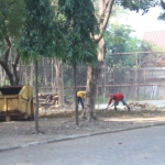 Pembersihan ilalang di sisi belakang gedung DPRD Pasuruan.
