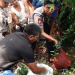 Petugas dibantu warga hendak mengevakuasi bayi.