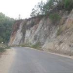  Jalur Pacitan-Ponorogo yang dinilai rawan longsor.