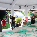 Petugas angkut saat menurunkan beras dari truk. (foto: ist.)