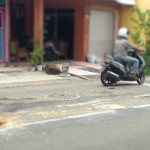 Kondisi bopeng di perempatan lampu merah Jl Agus Salim. foto: YUNIARDI S/ BANGSAONLINE