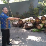 Pent Haryoto, mantan Camat Kedungkandang, didampingi Sekcam Doni P, menunjukkan kayu sengon yang berhasil ditebang dan saat ini diamankan di kantor kecamatan Kedungkandang. 