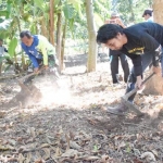 Bupati Madiun langsung melihat hasil panen. 