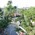 Suasana perantingan besar-besaran oleh Pemkot Surabaya melalui DKRTH yang digelar di sepanjang Jalan A. Yani. foto: ist