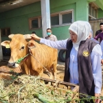 Gubernur Jawa Timur Khofifah Indar Parawansa meninjau kesiapan RPH Halal Pegirian Foto: DEVI FITRI AFRIYANTI/ BANGSAONLINE