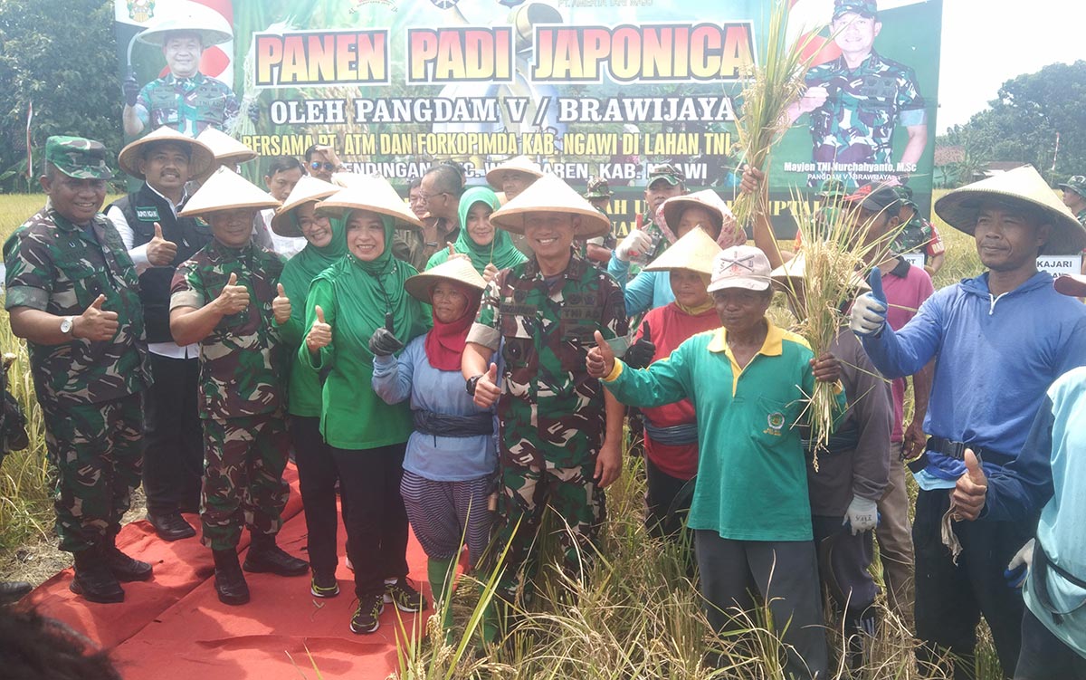Pangdam V Brawijaya Pimpin Panen Raya Padi di Ngawi