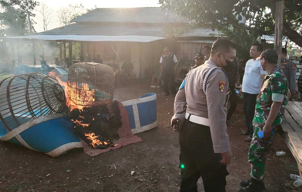 Petugas membakar perlengkapan judi sabung ayam. Foto: Ist.