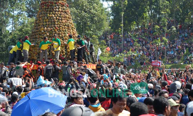 MENGGUNUNG: 2016 durian yang disusun menjulang dalam acara Kenduri Durian Wonosalam. foto: rony suhartomo/ BANGSAONLINE