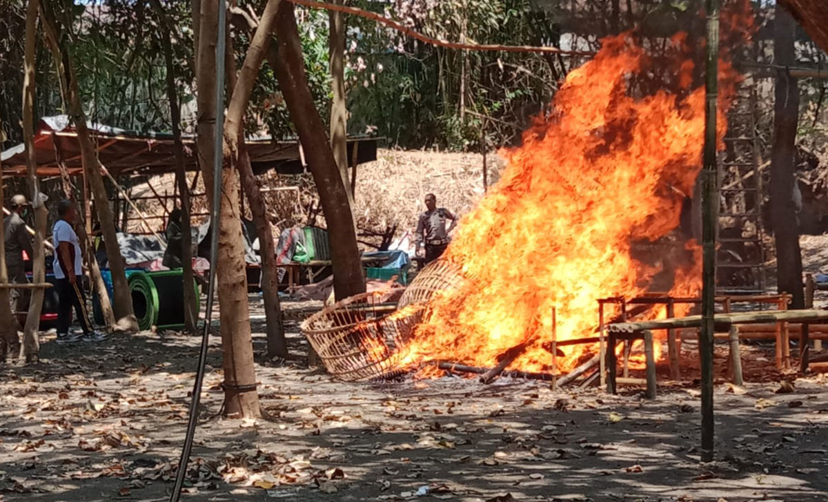 Petugas gabungan memusnahkan sarana judi sabung ayam di Desa Jeruk Legi dengan cara dibakar.