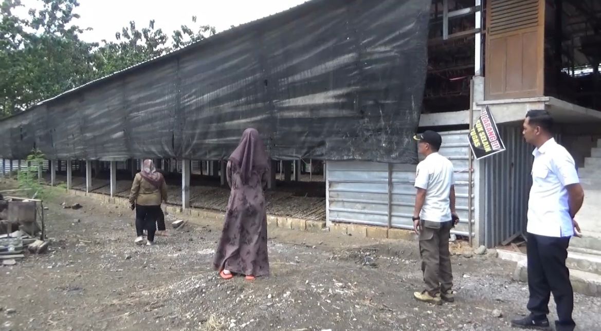 Warga Rejomulyo Ngawi Keluhkan Bau Peternakan Ayam Petelur, Minta Perbaiki Pengelolaan Limbah