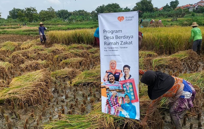 Pupuk Subsidi Langka, Rumah Zakat Bantu Petani di Tlanakan Pamekasan