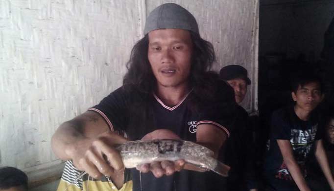 Supriyono menunjukkan lele berlafadz Allah miliknya. foto: detik.com