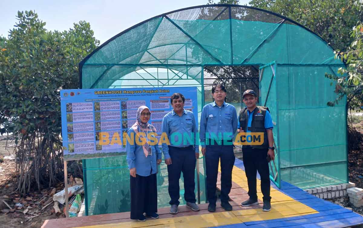 Manajemen PT Smelting saat penyerahan bantuan green house di Ecowisata Mangrove Pangkah Kulon. Foto: SYUHUD/BANGSAONLINE
