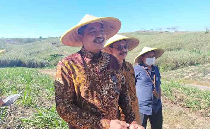  Kemenperin Dorong Blitar Terus Tingkatkan Produksi Gula