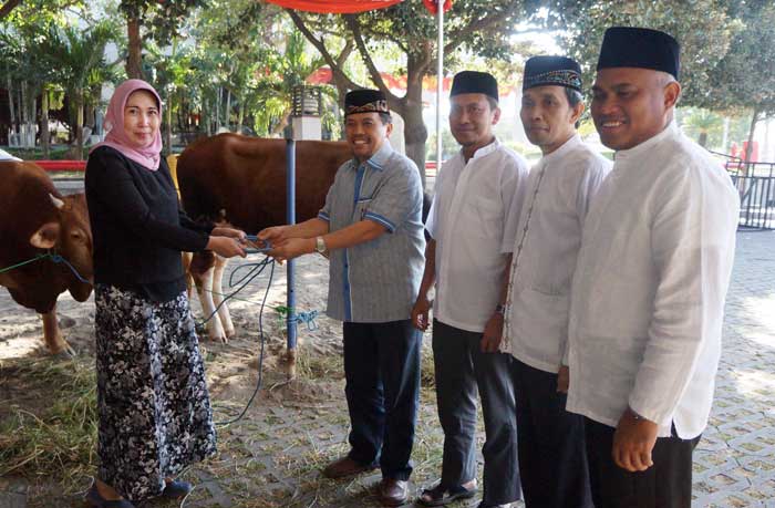 Plt Direktur Utama Semen Indonesia Johan Samudra menyerahkan bantuan hewan kurban kepada perwakilan kelurahan sekitar perusahaan.