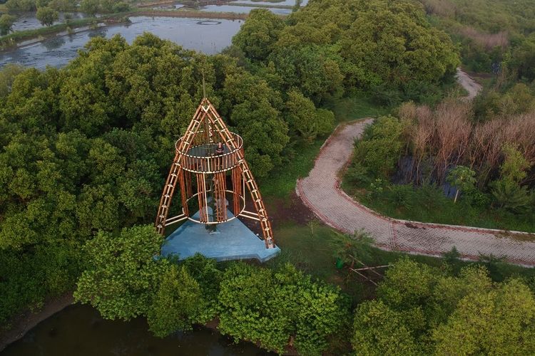 Wisata Kebun Raya Mangrove di Surabaya. Foto: Ist