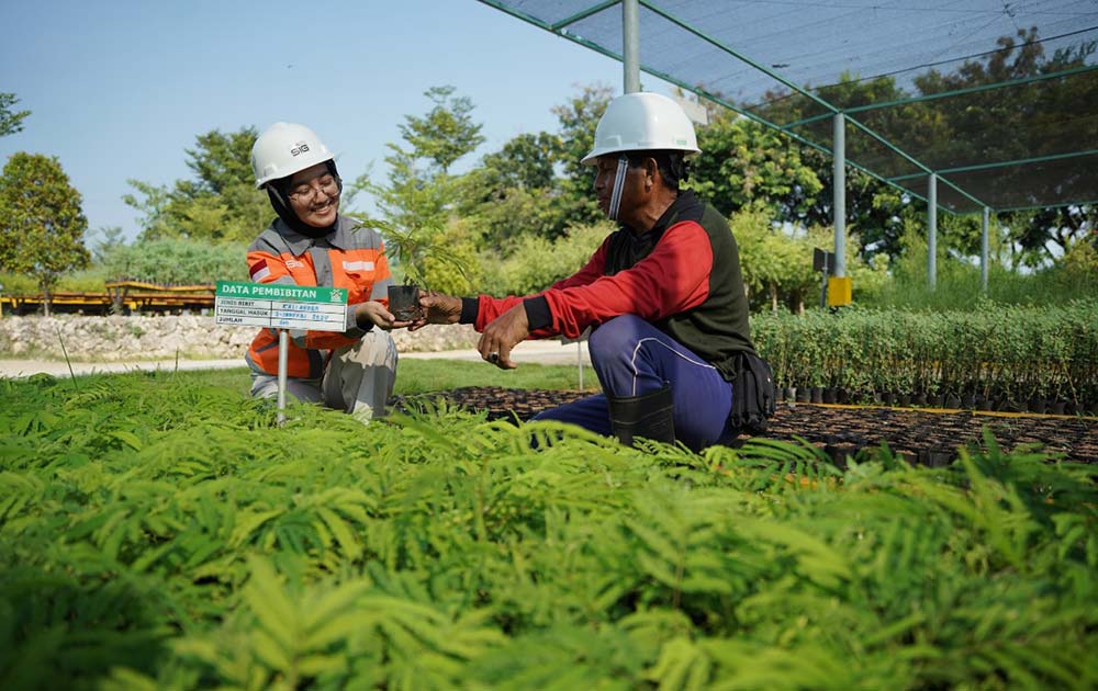 Area pembibitan tanaman Kaliandra di Kawasan Griyo Winih Ecopark Kambang Semi lahan pascatambang tanah liat SIG di Pabrik Tuban, Jawa Timur. Foto: Ist.