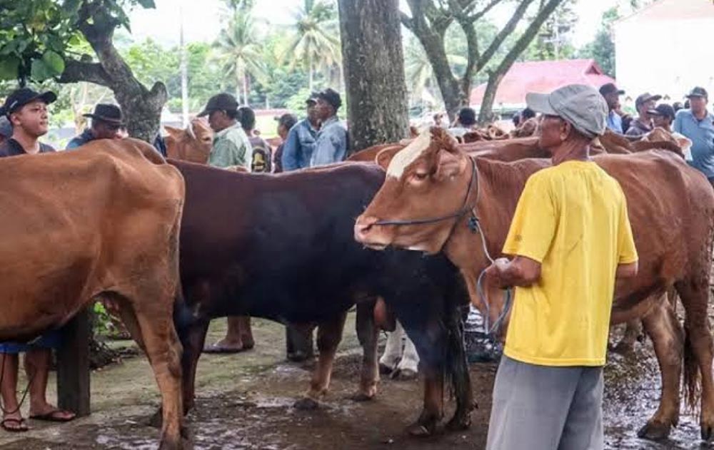Suasana salah satu pasar hewan di Bojonegoro.