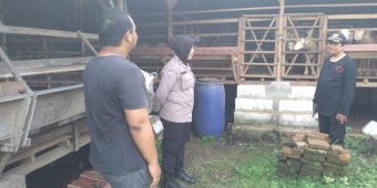Jelang Iduladha, Polsek Gedangan Bersama Perangkat Desa Ganting Cek Kesehatan Hewan Ternak