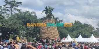 Ratusan Warga Berebut Nanas di Pineapple Festival 2023