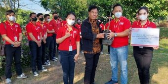 Jelang Ultah ke-23, Alfamart Tanam 200 Bibit Pohon Mangga dan Alpokat di Sidoarjo