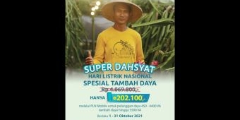 112 Ribu Pelanggan PLN Nikmati Tambah Daya Hanya Rp 202.100 Melalui Promo Super Dahsyat