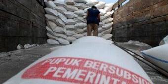 Terkait Kasus Penyelundupan Pupuk Bersubsidi di Bondowoso, HKTI Nilai KP3 Lemah Awasi Pupuk