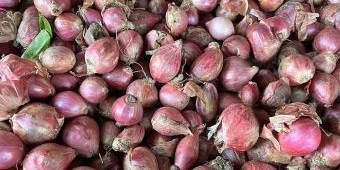 Bawang Merah Mentah Turunkan Gula Darah dan Jaga Jantung, Berikut Pelbagai Manfaatnya