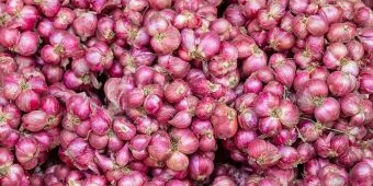 Harga Sembako Jatim Sabtu 10 Mei 2025: Bawang Merah Rp35.923/kg, Ayam Kampung Rp67.798/kg