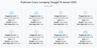 Cuaca Lumajang Hari ini Jumat, 16 Januari 2026: Diperkirakan Berawan dengan Suhu 22-29°C