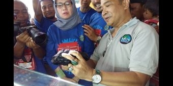 Batu Akik Lumajang Bisa Capai Harga Rp 1 Miliar Lebih