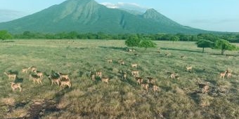 6 Tempat Wisata di Situbondo yang Bikin Takjub dan Betah