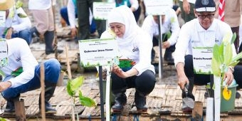 Khofifah Dorong Rehabilitasi Mangrove Jadi Strategi Ekonomi Biru Berkelanjutan