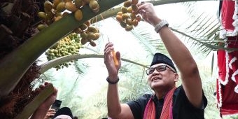 menteri-haji-dorong-kurma-lokal-jadi-oleh-oleh-utama-jamaah-bisa-belanja-lewat-aplikasi