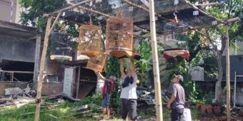 Komunitas ini Gagas Kampung Burung Bioro Malang