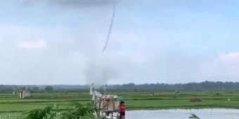 Puting Beliung Sapu Sawah di Kamal Bangkalan, Muncul Tiba-tiba Tanpa Hujan