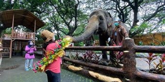 9 Kebun Binatang Terbaik di Indonesia yang Harus Dikunjungi saat Liburan