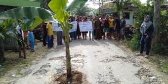 Tak Kunjung Diperbaiki, Warga Lima Dusun di Pamekasan Gelar Aksi Tanam Pohon Pisang di Jalan