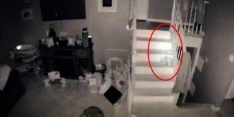 Tuyul Gentayangan, Bermain-main dan Menggoda Kucing