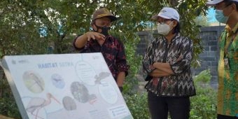 Sukses Wujudkan Desa Mandiri, Kades Sukorejo Gresik Banjir Penghargaan