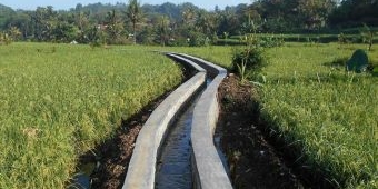 Perbaikan Jaringan Irigasi di Kabupaten Pasuruan Molor dari Target