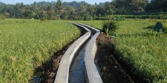 Perbaikan Jaringan Irigasi di Kabupaten Pasuruan Molor dari Target