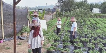 Wisata Kota Batu Jadi Favorit Turis Asia Tenggara