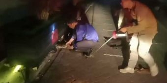 Ular Piton Sepanjang 4,5 Meter Ditemukan di Pabrik Rokok Gudang Garam Tuban