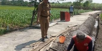 Tingkatkan Pendapatan dan Permudah Para Petani, Pemdes Krandegan Bangun Rabat Beton JUT