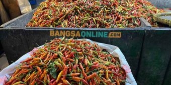 Cabai Rawit Naik, Berikut Daftar Harga Sembako Jatim Terbaru per 12 November 2025